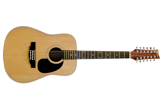 beaver creek 12 string guitar