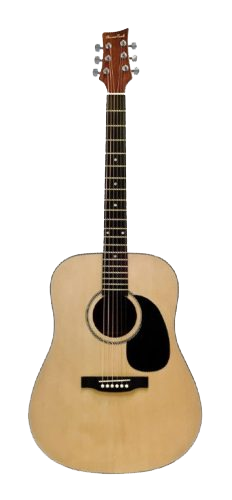 martin d45 cutaway