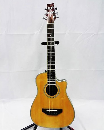 epiphone junior model price