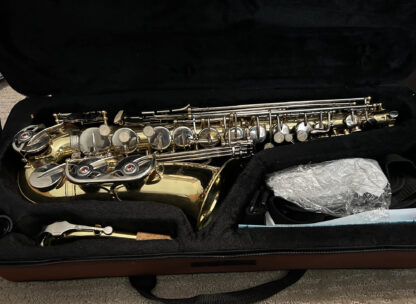 Eldon EAS410LN Alto Saxophone with Case
